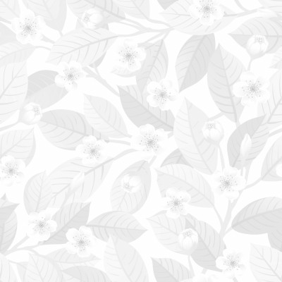 [object Object] undefined