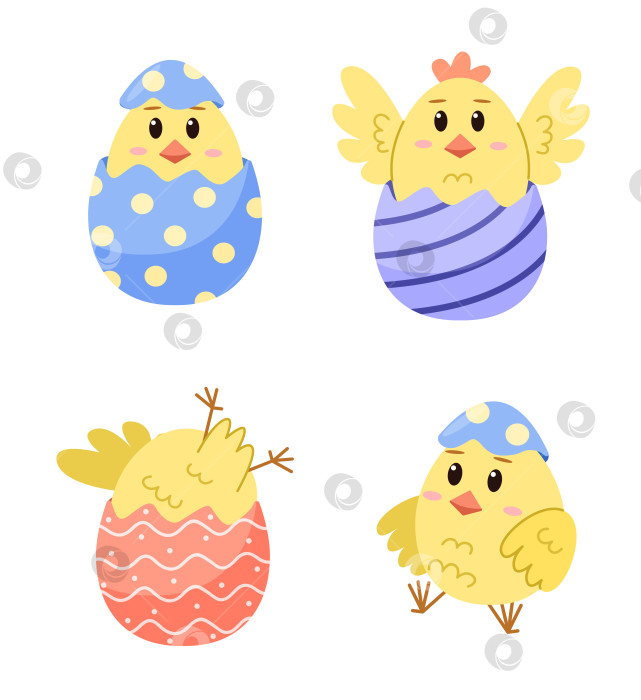 Скачать Набор симпатичных пасхальных цыплят в скорлупе. Анималистическая векторная иллюстрация пасхальных цыплят в разных позах. Детский принт с цыплятами для детской комнаты, плаката и открытки фотосток Ozero