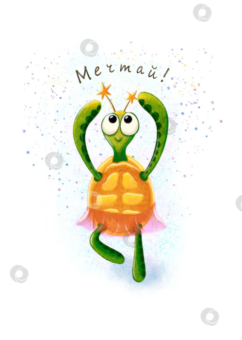 Скачать Черепашка танцует в мечтах. фотосток Ozero