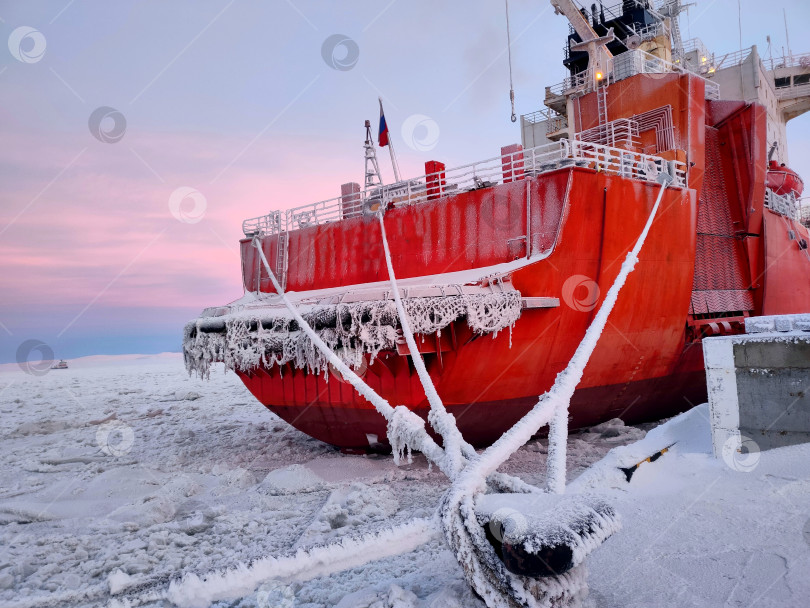 Скачать Обледенелые тросы кормы судна стоящего у причальной стены морского порта г Певек. Арктика. фотосток Ozero
