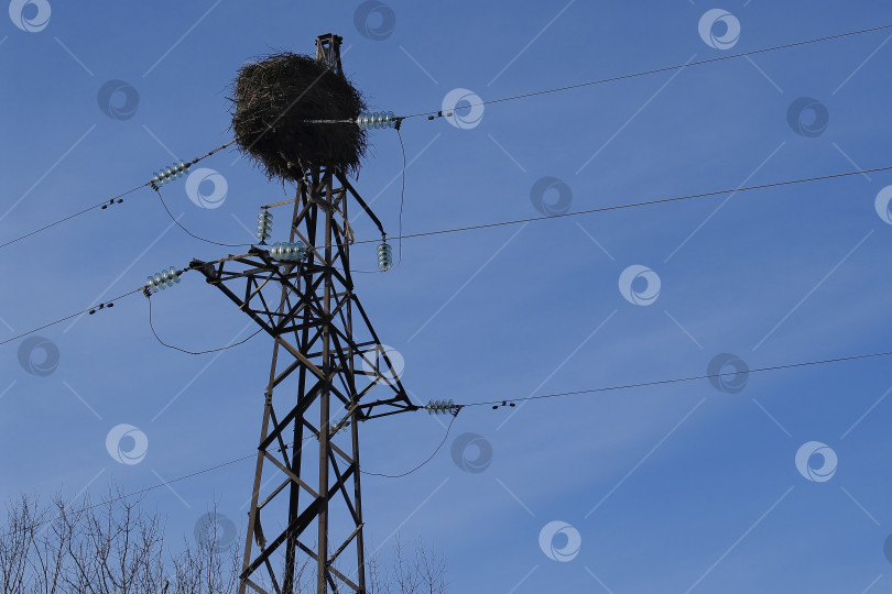 Скачать Огромное гнездо свитое птицами на высоковольтном электрическом столбе. фотосток Ozero