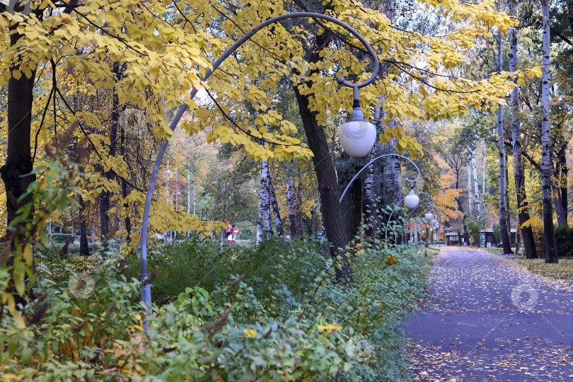 Скачать Осветительные фонари на пешеходной дорожке в центральном парке. Краски осени листопад. фотосток Ozero