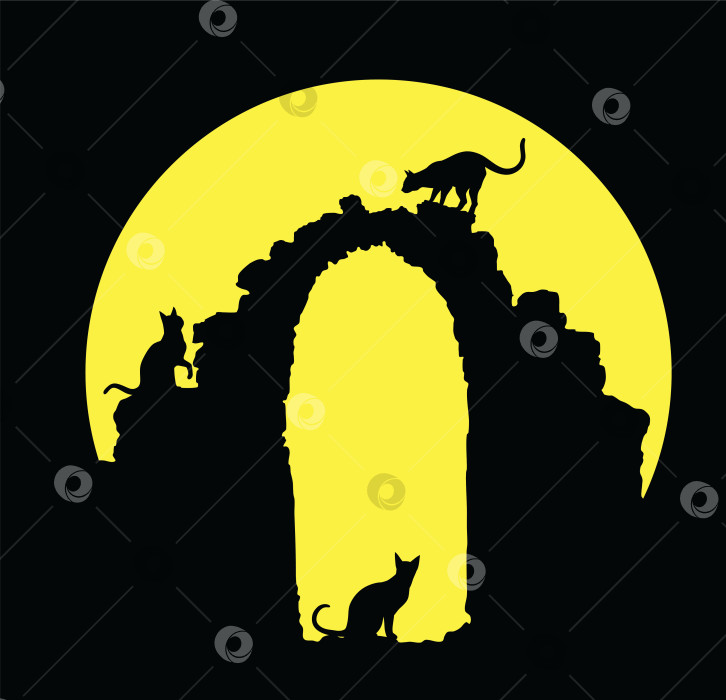 Скачать Ночной пейзаж с кошками. фотосток Ozero