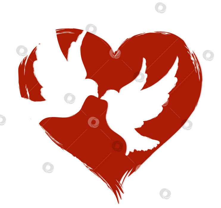 Скачать Голуби с сердцем. фотосток Ozero