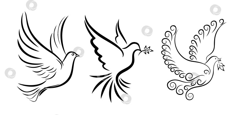 Скачать Логотипы летящих птиц. фотосток Ozero