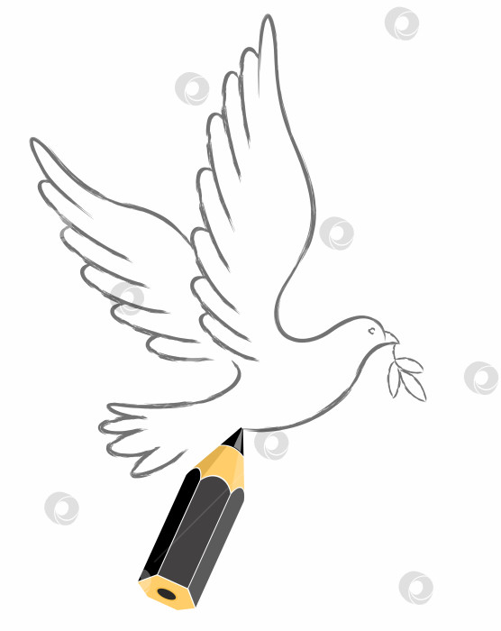 Скачать Набросок летящего голубя. фотосток Ozero
