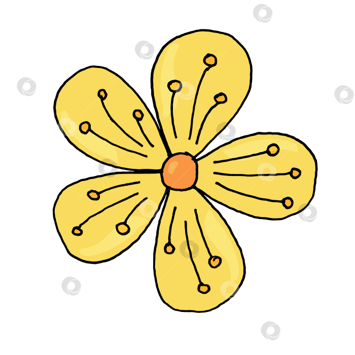 Скачать Иллюстрация - ручная графика - жёлтый цветок фотосток Ozero
