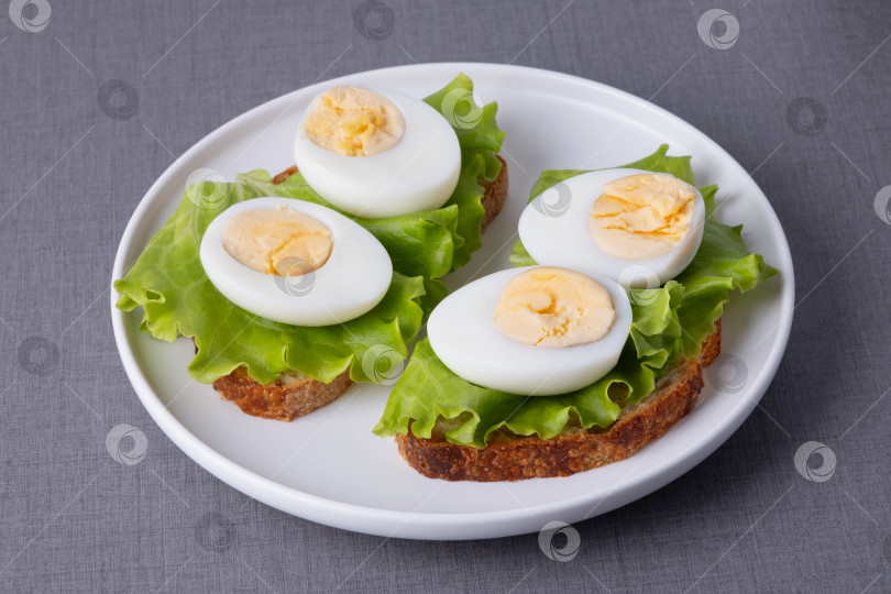Скачать Бутерброды с вареными яйцами и листьями салата подаются на тарелке во время обеда или перекуса на кухне фотосток Ozero