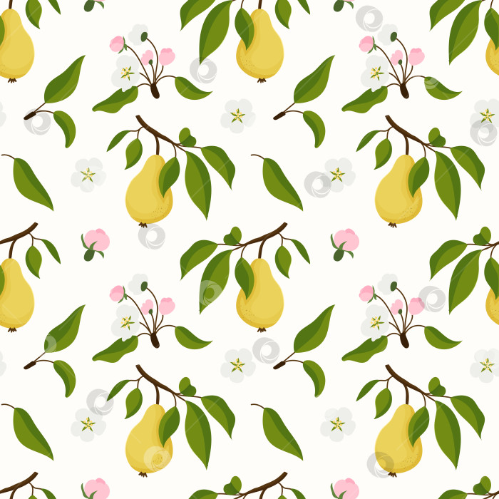 Скачать Нежные груши свисают с покрытых листвой веток фотосток Ozero