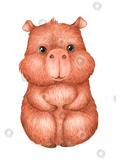 Скачать Капибара - это милое животное, нарисованное акварелью. фотосток Ozero
