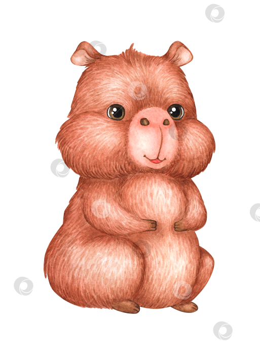 Скачать Акварель с изображением животного капибары фотосток Ozero
