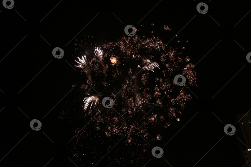 Скачать Салют фотосток Ozero