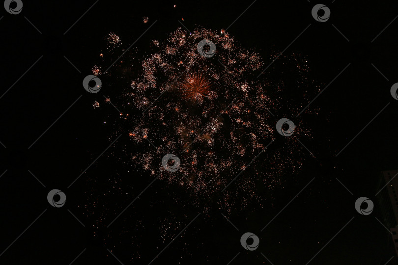 Скачать Салют фотосток Ozero