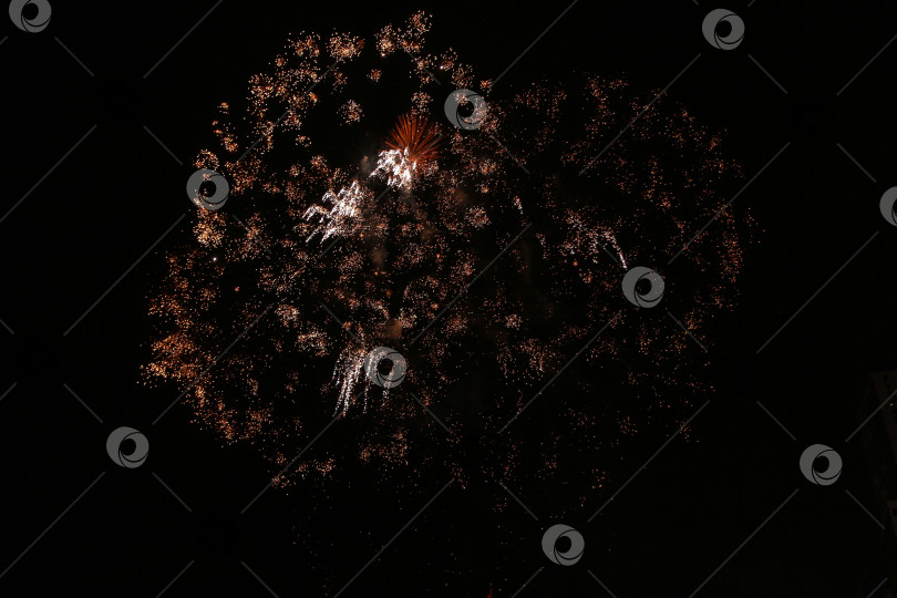 Скачать Салют фотосток Ozero