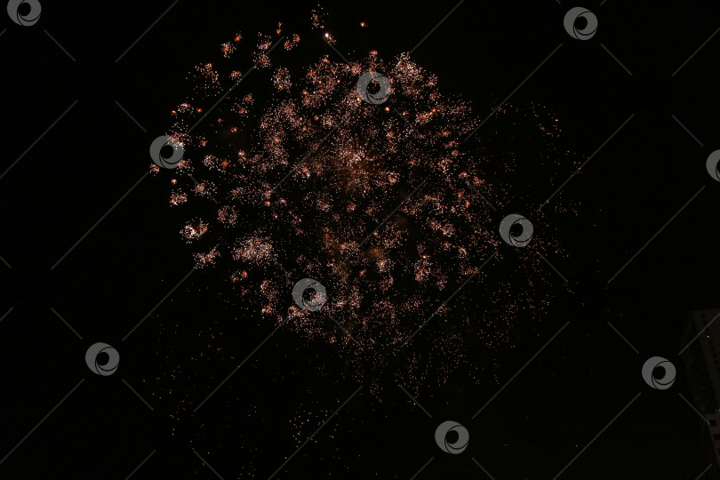 Скачать Салют фотосток Ozero