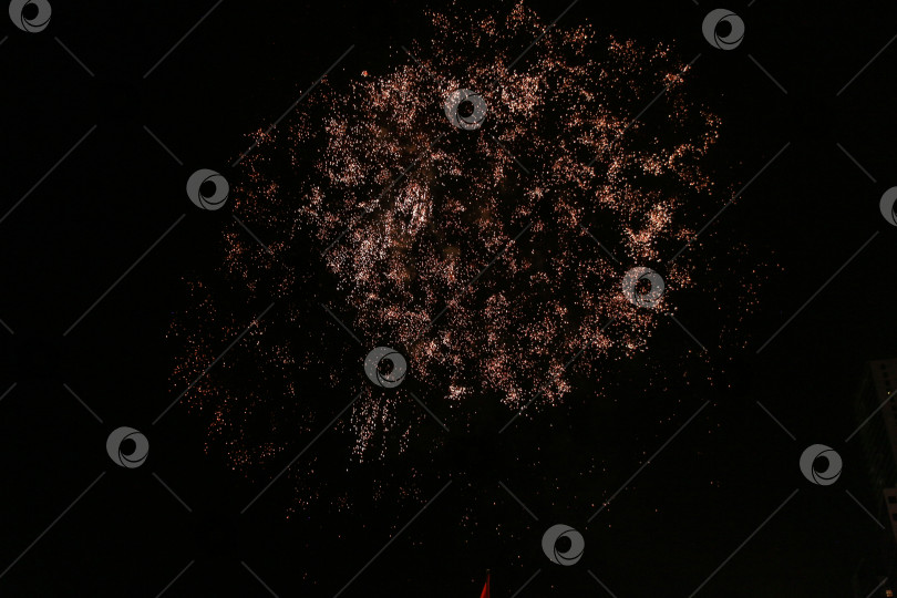 Скачать Салют фотосток Ozero