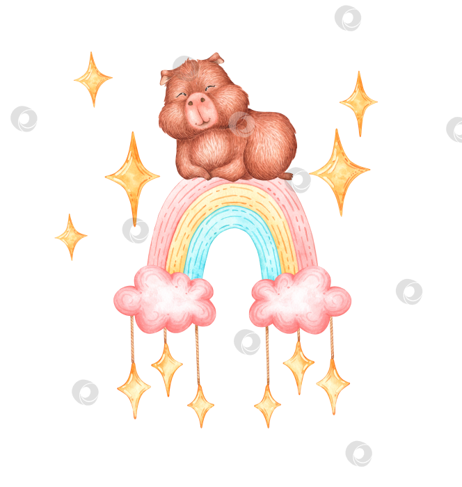 Скачать Симпатичная капибара на радужной акварельной иллюстрации фотосток Ozero