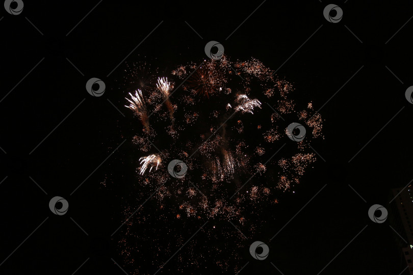 Скачать Салют фотосток Ozero