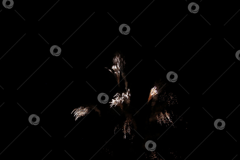 Скачать Салют фотосток Ozero