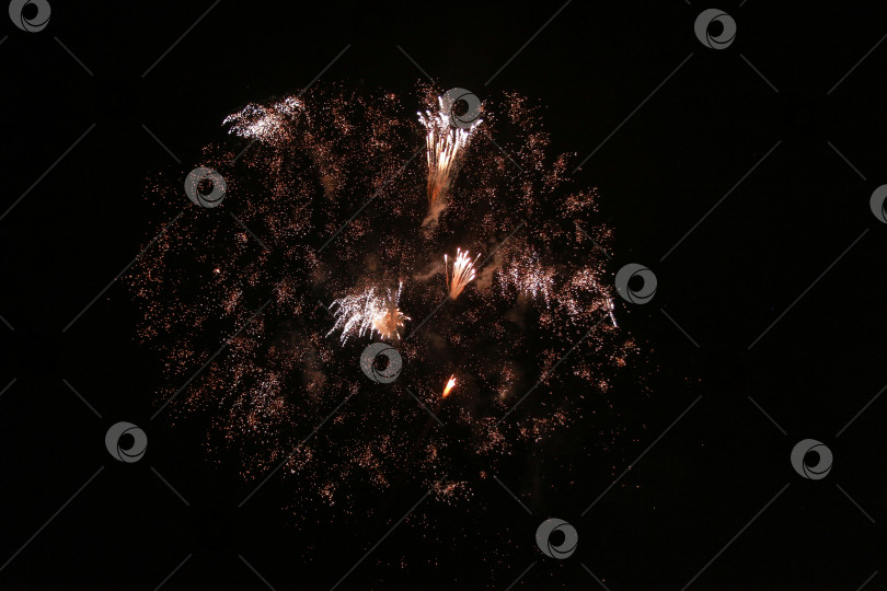 Скачать Салют фотосток Ozero