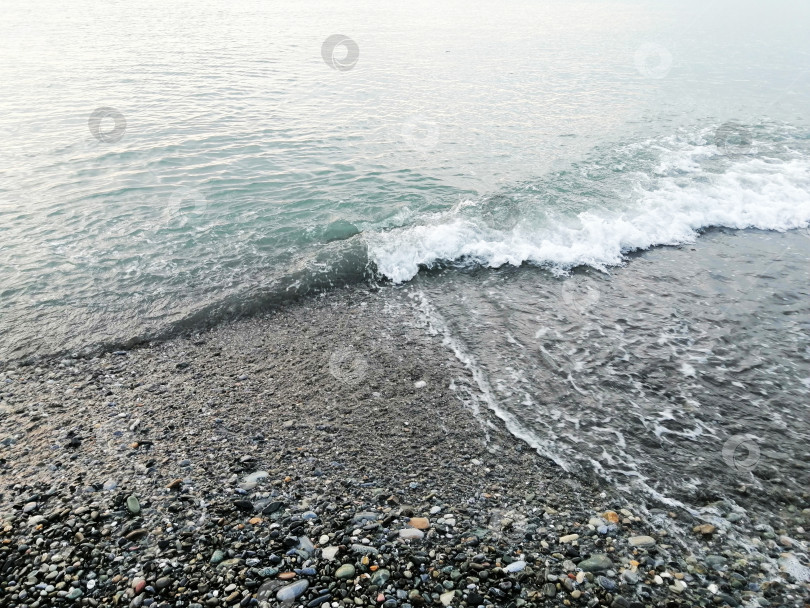Скачать Берег моря, спокойные волны набегают на пляж с мелкой галькой фотосток Ozero