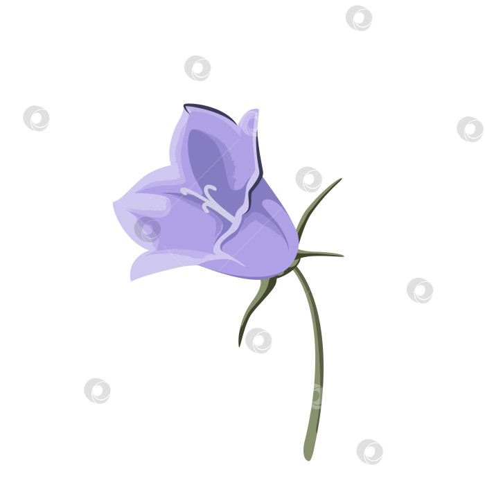 Скачать Колокольчик фотосток Ozero