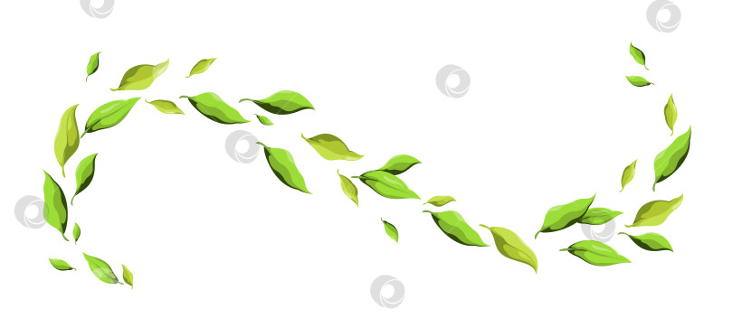 Скачать Волнистая листва из ярко-зеленых листьев фотосток Ozero