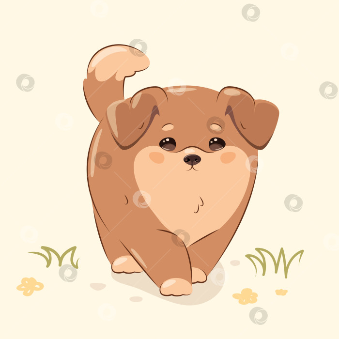 Скачать Милый щенок фотосток Ozero