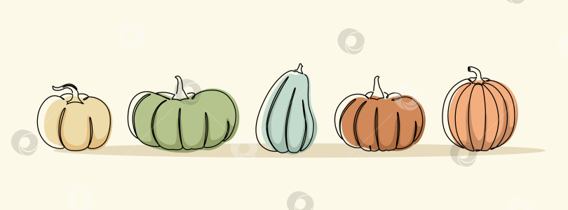 Скачать Набор простых осенних тыкв фотосток Ozero