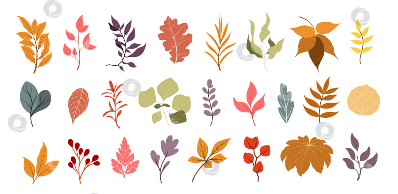 Скачать Набор простых веточек и листьев в осенних тонах фотосток Ozero