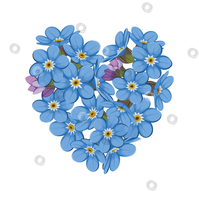 Скачать Сердце из цветов незабудки фотосток Ozero