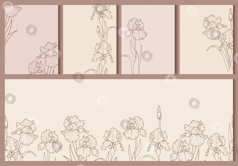 Скачать Набор элегантных фонов с цветами ириса фотосток Ozero