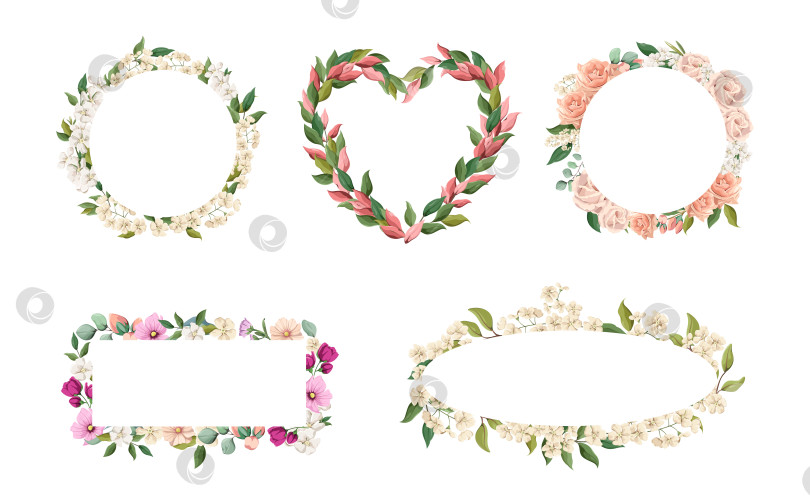 Скачать Набор цветочных рамок на белом фоне фотосток Ozero