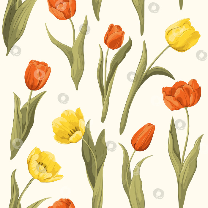 Скачать Бесшовный узор с тюльпанами фотосток Ozero