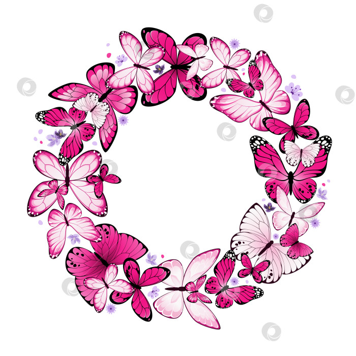 Скачать Венок из розовых бабочек на белом фоне фотосток Ozero