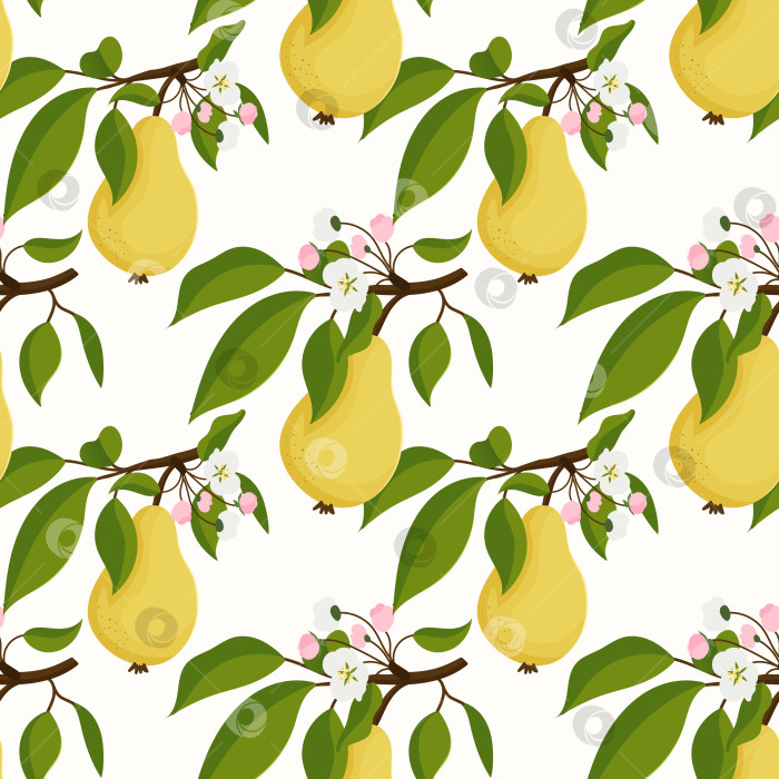 Скачать Узорчатый дизайн с изображением груш, листьев и цветов на белом фоне фотосток Ozero
