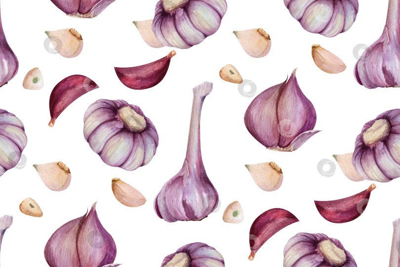 Скачать Акварельный чесночный фон на белом фоне. Свежая гвоздика и луковицы создают органическую текстуру продуктов, подходящую для упаковки, оформления меню, текстиля и кулинарных концепций. фотосток Ozero