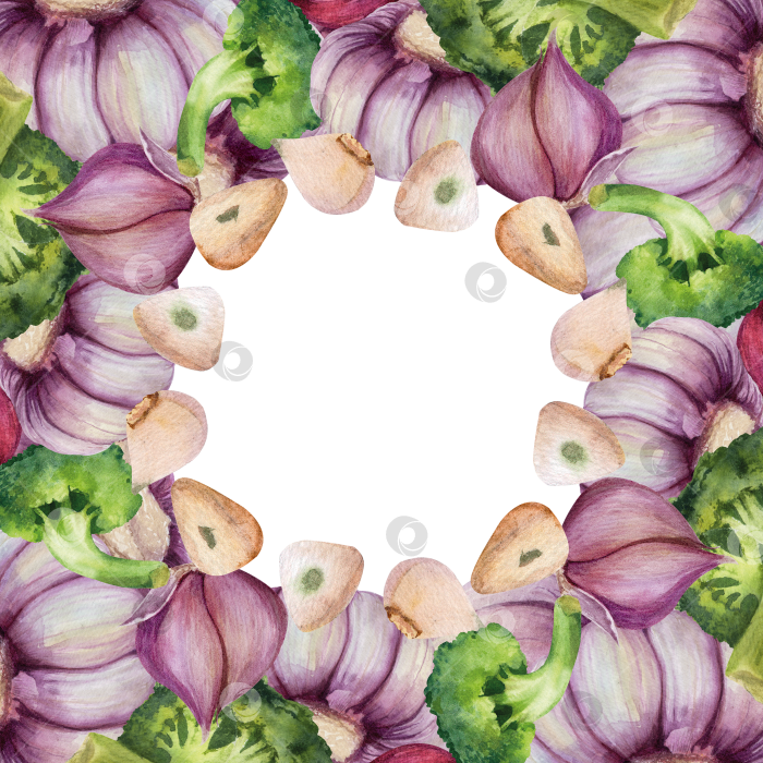 Скачать Акварельный венок из чеснока и брокколи на белом фоне. Овощная иллюстрация с плотной округлой композицией и пространством для текста подходит для оформления меню и оформления продуктов питания. фотосток Ozero