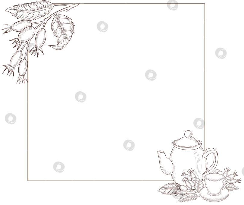 Скачать Черно-белая иллюстрация в стиле гравюры, состоящая из чайной чашки, чайника, чайных листьев, чайных пакетиков и цветов и ягод шиповника, подробная схема упаковки, социальные сети, меню фотосток Ozero