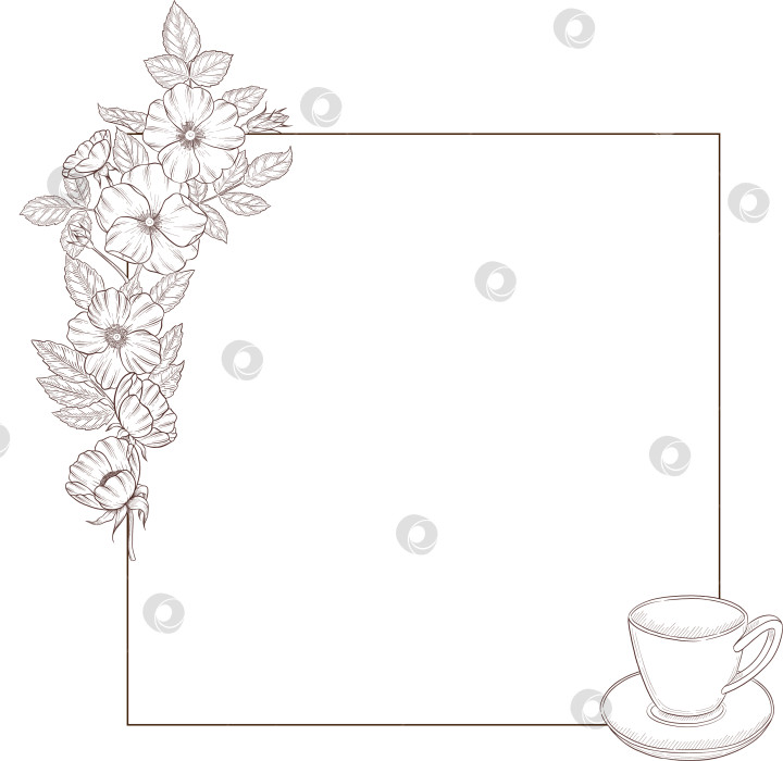 Скачать Черно-белая иллюстрация в стиле гравюры, состоящая из чайной чашки, чайника, чайных листьев, чайных пакетиков и цветов и ягод шиповника, подробная схема упаковки, социальные сети, меню фотосток Ozero
