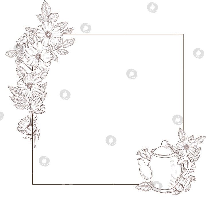 Скачать Черно-белая иллюстрация в стиле гравюры, состоящая из чайной чашки, чайника, чайных листьев, чайных пакетиков и цветов и ягод шиповника, подробная схема упаковки, социальные сети, меню фотосток Ozero