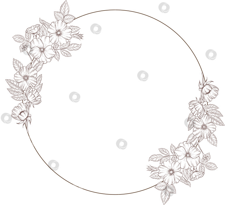 Скачать Черно-белая иллюстрация в стиле гравюры, состоящая из чайной чашки, чайника, чайных листьев, чайных пакетиков и цветов и ягод шиповника, подробная схема упаковки, социальные сети, меню фотосток Ozero