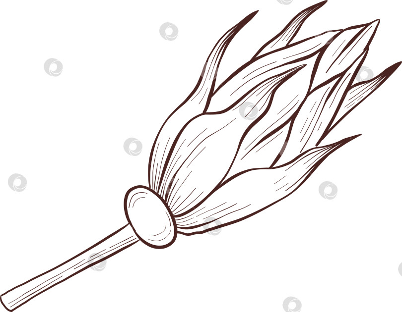 Скачать Черно-белая иллюстрация в стиле гравюры, состоящая из чайной чашки, чайника, чайных листьев, чайных пакетиков, цветов и ягод шиповника, подробная схема упаковки, социальные сети, меню фотосток Ozero