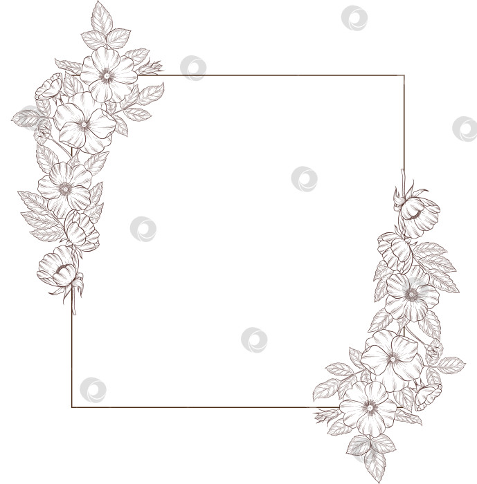 Скачать Черно-белая иллюстрация в стиле гравюры, состоящая из чайной чашки, чайника, чайных листьев, чайных пакетиков и цветов и ягод шиповника, подробная схема упаковки, социальные сети, меню фотосток Ozero