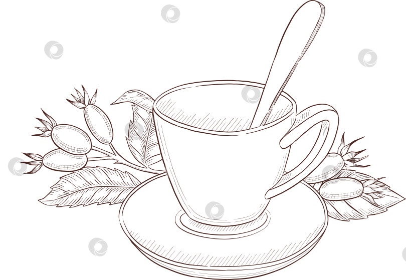 Скачать Черно-белая иллюстрация в стиле гравюры, состоящая из чайной чашки, чайного заварника, чайных листьев, чайных пакетиков и цветов и ягод шиповника, подробная схема упаковки, социальные сети, меню фотосток Ozero