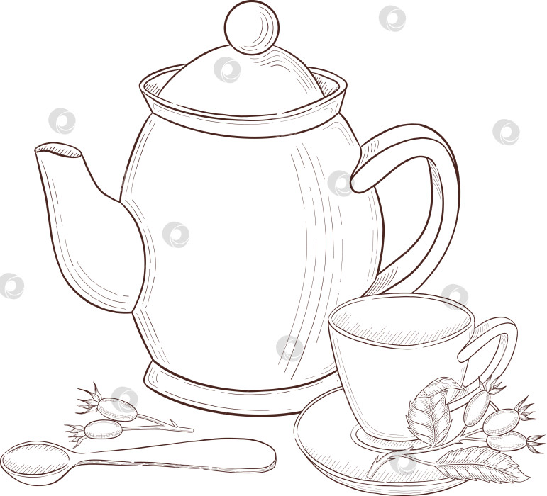 Скачать Черно-белая иллюстрация в стиле гравюры, состоящая из чайной чашки, чайного заварника, чайных листьев, чайных пакетиков и цветов и ягод шиповника, подробная схема упаковки, социальные сети, меню фотосток Ozero