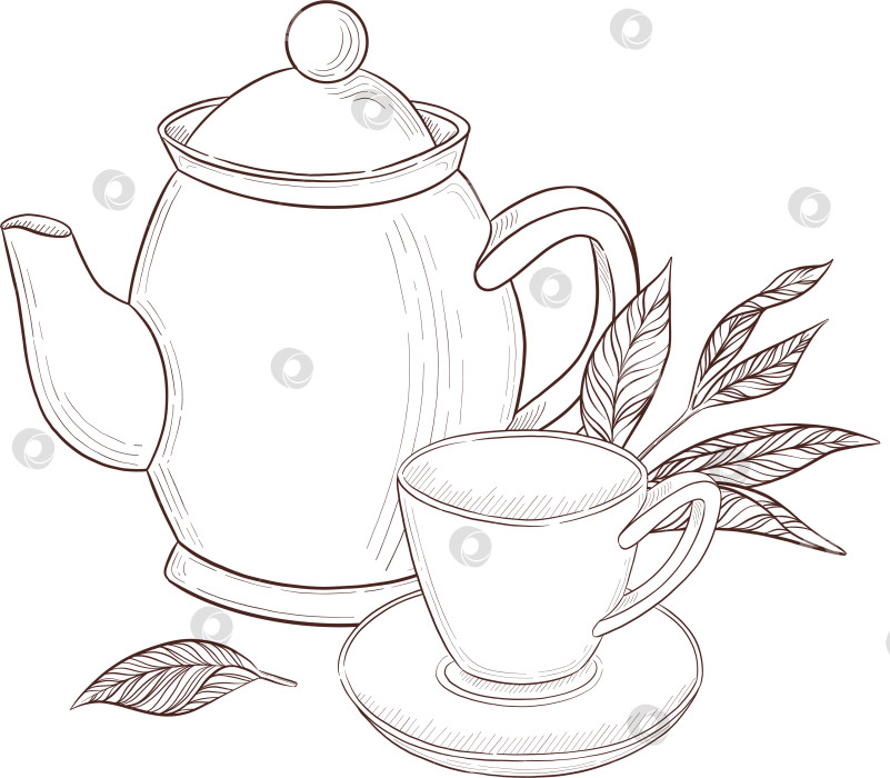 Скачать Черно-белая иллюстрация в стиле гравюры, состоящая из чайной чашки, чайника, чайных листьев, чайных пакетиков и цветов и ягод шиповника, подробная схема упаковки, социальные сети, меню фотосток Ozero