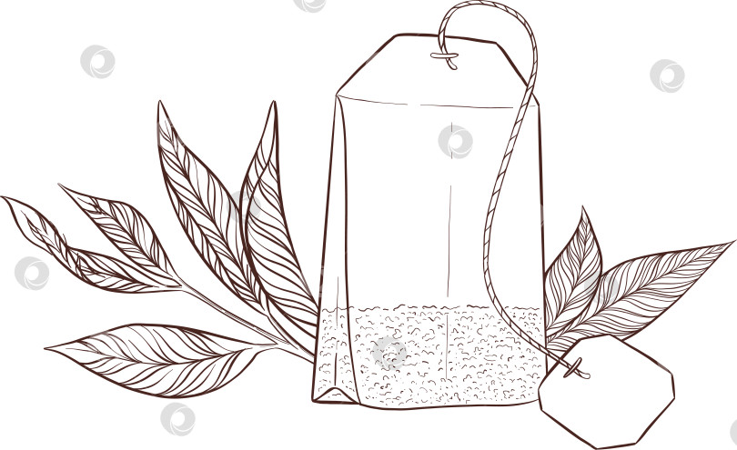 Скачать Черно-белая иллюстрация в стиле гравюры, состоящая из чайной чашки, чайника, чайных листьев, чайных пакетиков и цветов и ягод шиповника, подробная схема упаковки, социальные сети, меню фотосток Ozero