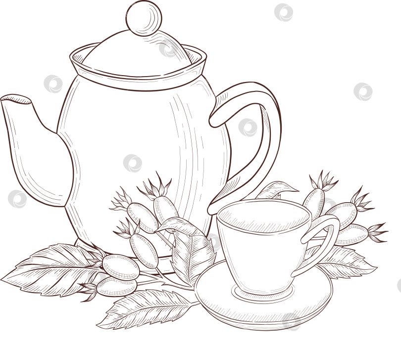 Скачать Черно-белая иллюстрация в стиле гравюры, состоящая из чайной чашки, чайного заварника, чайных листьев, чайных пакетиков и цветов и ягод шиповника, подробная схема упаковки, социальные сети, меню фотосток Ozero