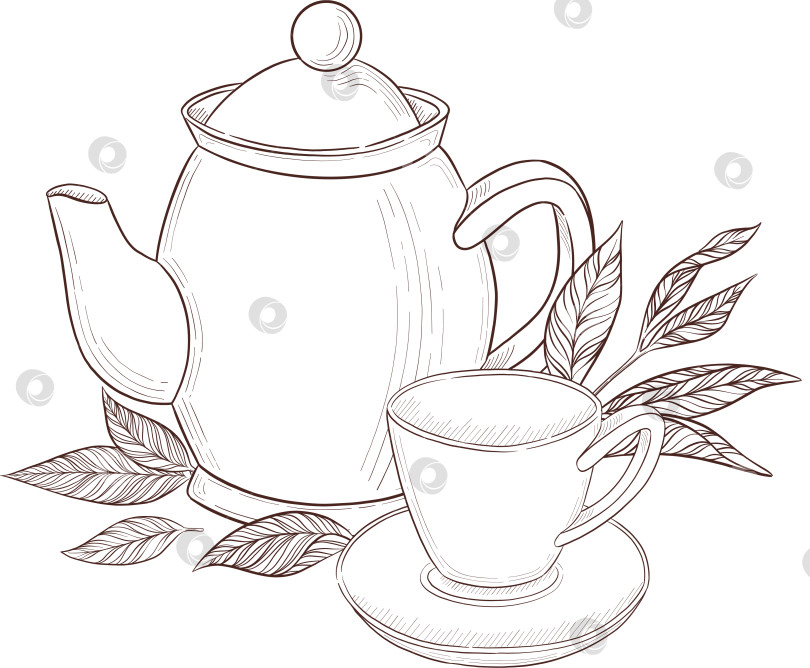 Скачать Черно-белая иллюстрация в стиле гравюры, состоящая из чайной чашки, чайного заварника, чайных листьев, чайных пакетиков и цветов и ягод шиповника, подробная схема упаковки, социальные сети, меню фотосток Ozero